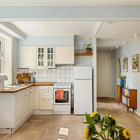 Bright 2-room With Kitchen In Appartement Bergen
